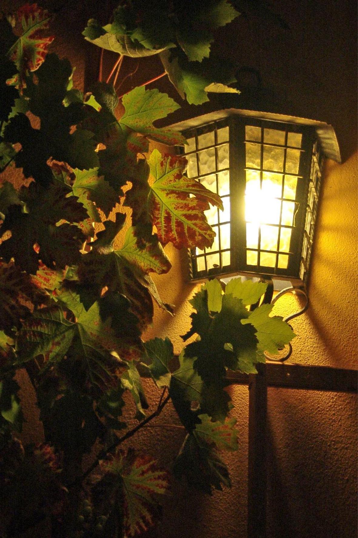Elbschloesschen Refugium Hotel Pirna Bagian luar foto